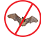 Bat